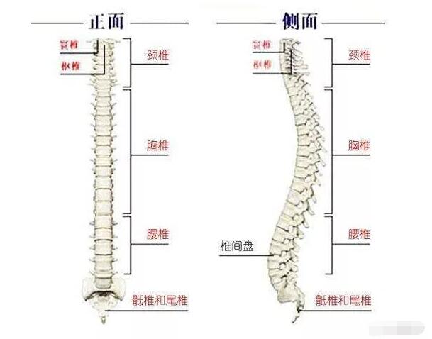 QQ截图20180905103746.jpg